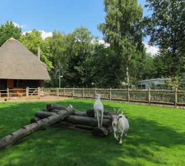 Kinderboerderij