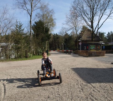 Go-kart rental
