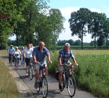 Rental bicycles